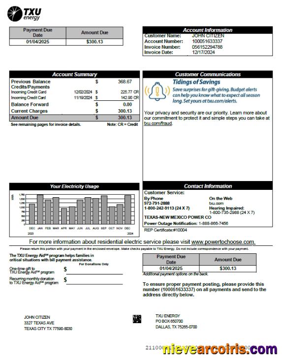 USA TXU Energy utility bill, version 3